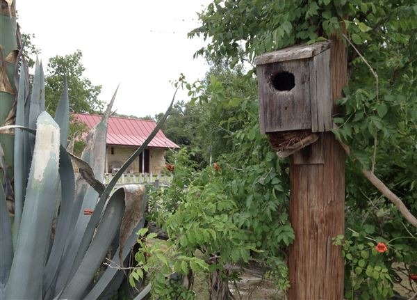 The Back Forty Ranch (6/3/2019)