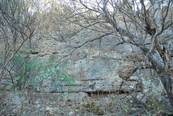 Milton Reimers Ranch County Park (3/7/2008)