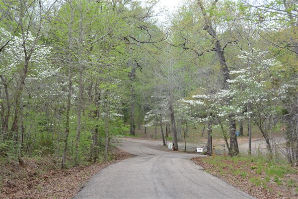 Davey Dogwood Park (7/8/2019 - Credits: Palestine Visitors Center)