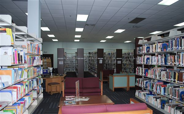 Palestine Public Library (7/10/2019)