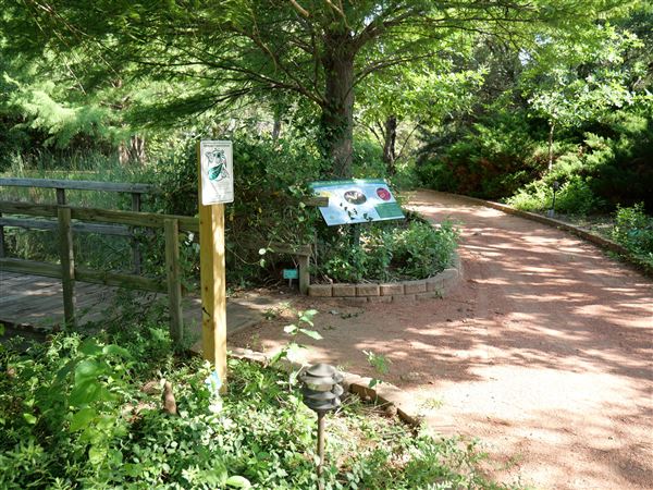 Clark Gardens Botanical Park (7/16/2019)