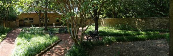 Clark Gardens Botanical Park (7/16/2019)