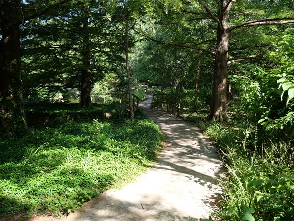 Clark Gardens Botanical Park (7/16/2019)