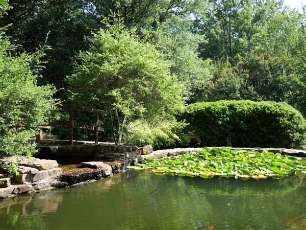 Clark Gardens Botanical Park (7/16/2019)