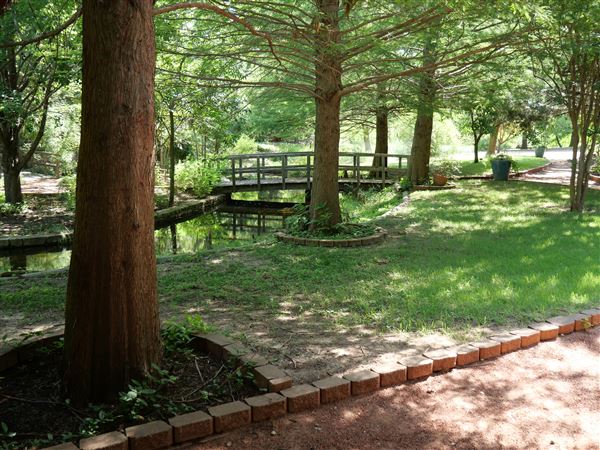 Clark Gardens Botanical Park (7/16/2019)