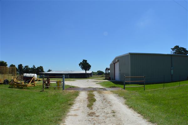 Cedar Isle Ranch (6/8/2020 - Credits: Mexia EDC)