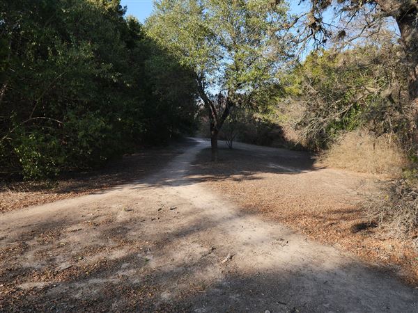 Walnut Creek Metropolitan Park (12/15/2020)