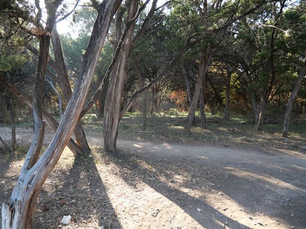 Walnut Creek Metropolitan Park (12/15/2020)