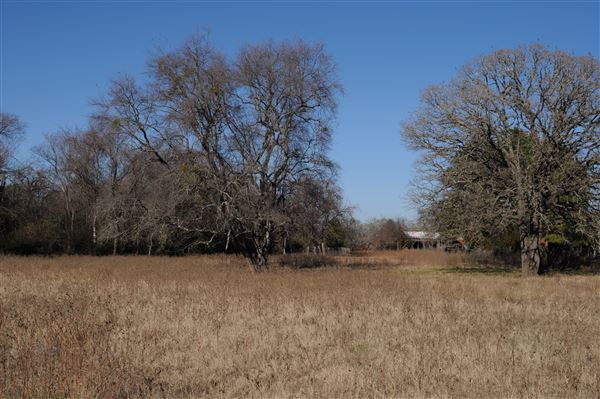 Rural Farm - Two House Property (6/7/2020)