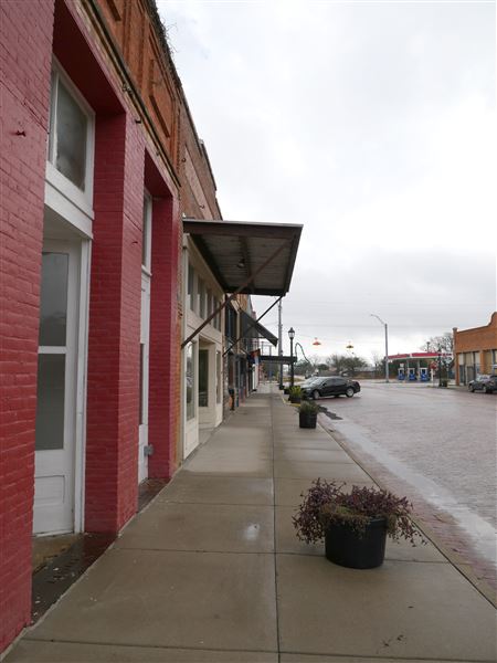 Bartlett (2/6/2021)