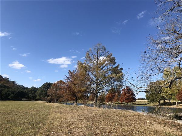 Hidden Springs Ranch (11/1/2020 - Credits: Bill Lanier)
