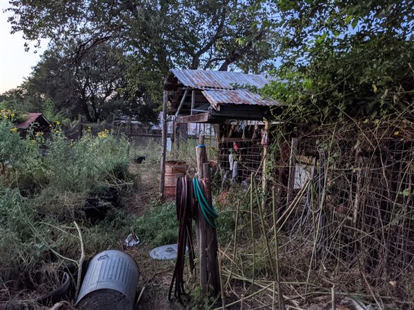 Rural Farm - Two House Property (8/12/2021 - Credits: Daniel Williams)