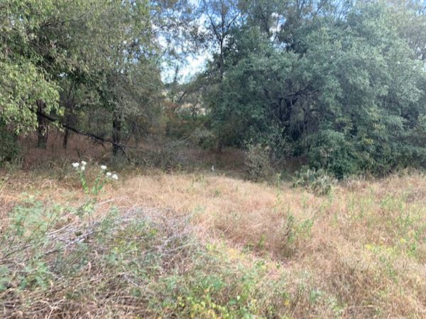 Rose Ranch (9/27/2021 - Credits: Roy Rose on my I-Phone)