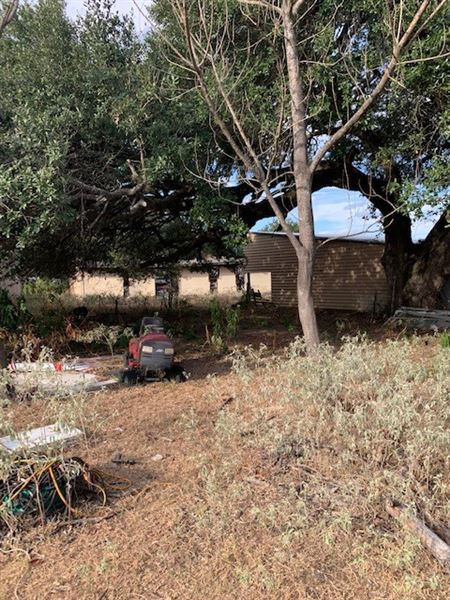 Rose Ranch (9/27/2021 - Credits: Roy Rose on my I-Phone)
