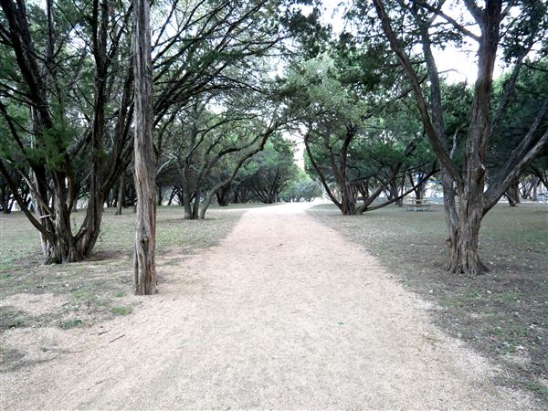 North Oaks Neighborhood Park (12/10/2020 - Credits: Kim LeBlanc)