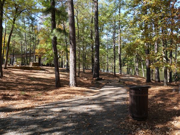 Synergy Park (11/12/2021)