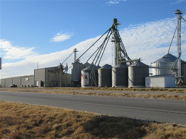Top Tier Grain & Feed (1/21/2022 - Credits: Jane Jeschke)