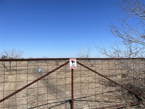 Studio Estates Acres (2/7/2022 - Credits: josephine safford)