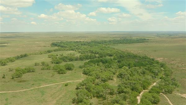 Blue Ranch (8/25/2022 - Credits: Allen Garland)