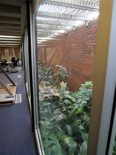 McAllen Creative Incubator (10/4/2022)