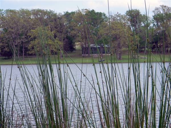 Maysel Ranch (4/1/2010)