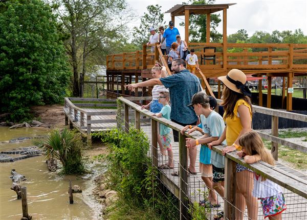 Gator Country (5/17/2023)