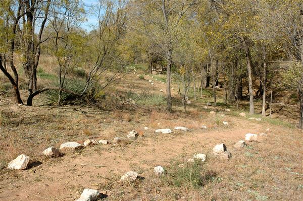 Borger Nature Trail (4/30/2017 - Credits: Charles Gillingham)