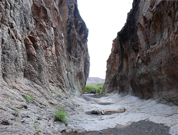 River Road - FM 170 (6/10/2010)