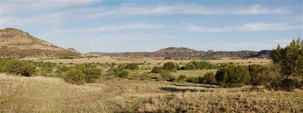 CF Ranch (6/10/2010)