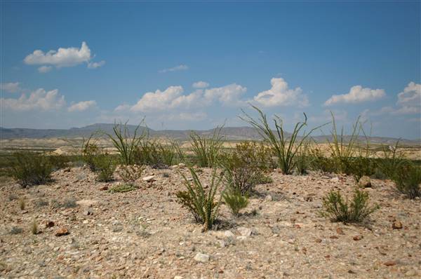 Big Bend Ranch State Park - Barton Warnock Environmental Education Center (9/17/2010)