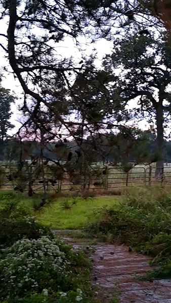 Hidden Meadows Ranch (7/6/2023 - Credits: Liza Clark)