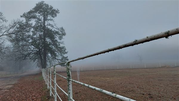 Hidden Meadows Ranch (7/6/2023 - Credits: Liza Clark)