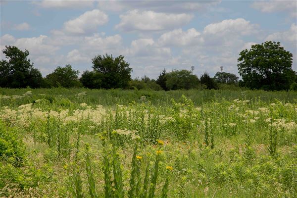 Blackland Prairie Park (5/1/2023 - Credits: Owner)