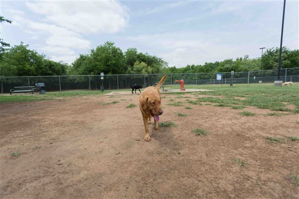 Tails 'N Trails Dog Park (5/1/2023 - Credits: Owner)