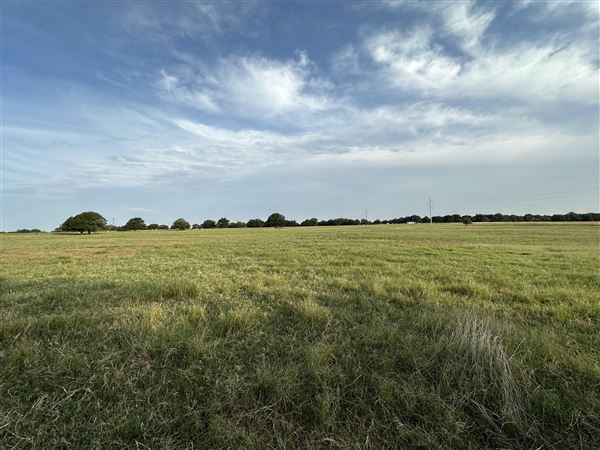 Fairlea Longhorn Ranch (7/20/2023 - Credits: K.Beck)