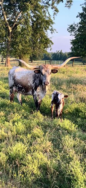 K-Hill Ranch (9/13/2023 - Credits: Lisa Clark)