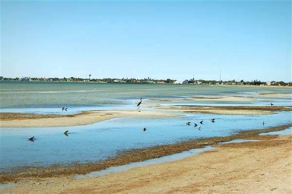 Rockport Beach Park (11/17/2010)