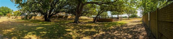 Freedom Tree Park (8/15/2023 - Credits: Jaxon Lara)