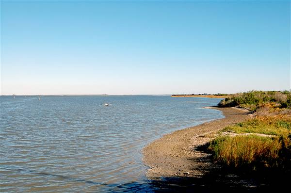 Goose Island State Park (12/2/2010)