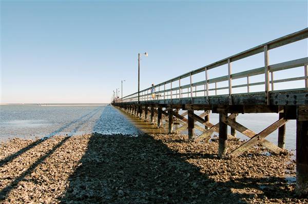 Goose Island State Park (12/2/2010)