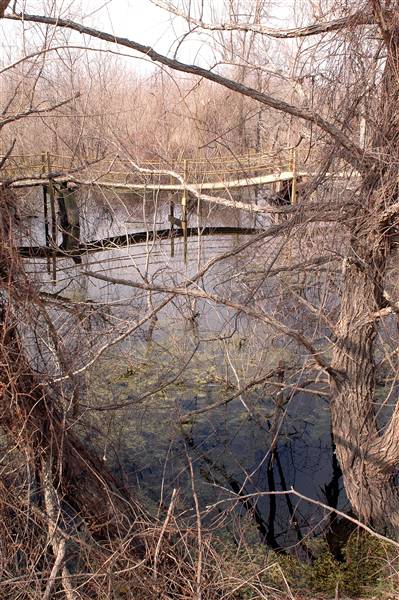 Mineola Nature Preserve (2/11/2009 - Credits: FFTX)
