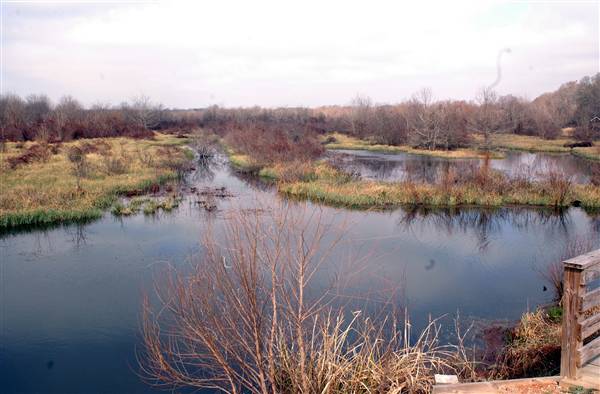 Mineola Nature Preserve (2/11/2009 - Credits: FFTX)