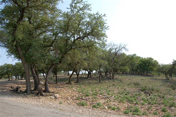 Natural Bridge Wildlife Ranch (4/7/2011)