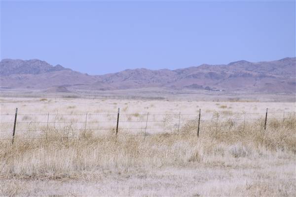 Ranch Road 505 (5/17/2011)