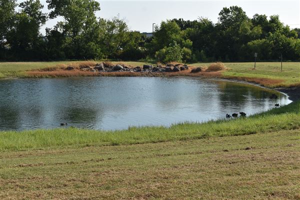 Community Park (8/26/2024 - Credits: Kennedy Moore)