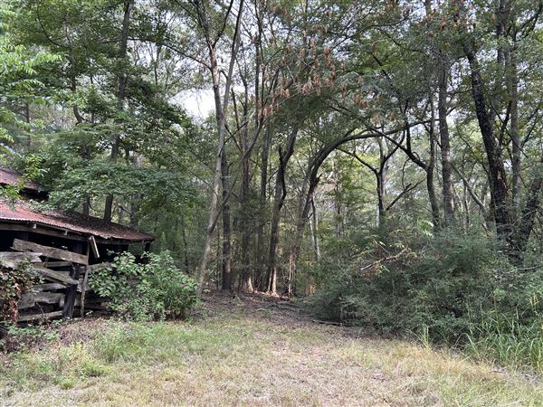 Flournoy Farm (9/24/2024 - Credits: submitted by: Sue Wisdom)