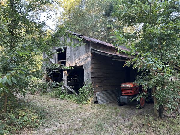 Flournoy Farm (9/24/2024 - Credits: submitted by: Sue Wisdom)