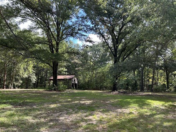 Flournoy Farm (9/24/2024 - Credits: submitted by: Sue Wisdom)