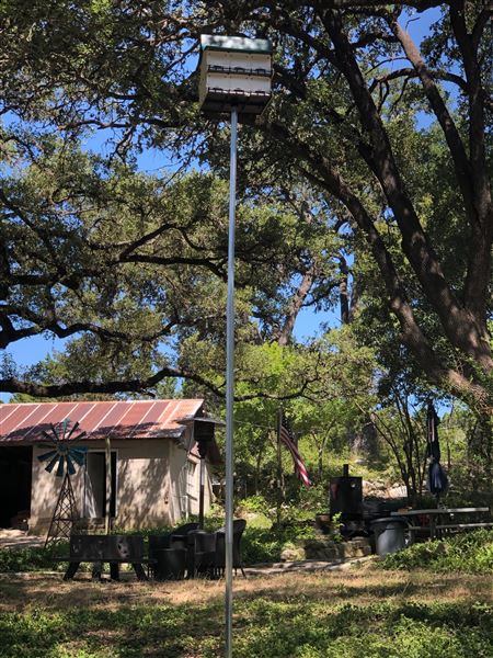 Double T Ranch (9/1/2024 - Credits: David Saidi)