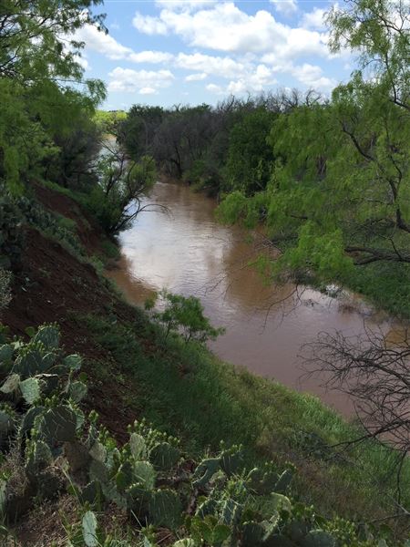 Tipton Ranch (10/11/2024 - Credits: John Cochran)